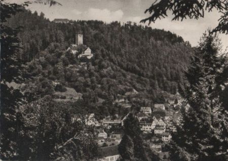 Bad Liebenzell - Blick auf die Burg Bad Liebenzell - Blick auf die Burg