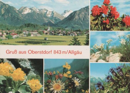 Oberstdorf - Blumen - 1975 Oberstdorf - Blumen - 1975