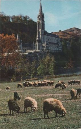 Frankreich - Lourdes - La Basilique et le Gave - 1967 Frankreich - Lourdes - La Basilique et le Gave - 1967