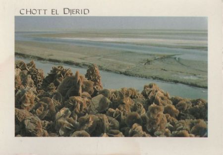 Tunesien - Chott el Djerid - ca. 1975 Tunesien - Chott el Djerid - ca. 1975
