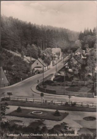 Tanne, Harz - Kurpark mit Waldstraße - 1968 Tanne, Harz - Kurpark mit Waldstraße - 1968