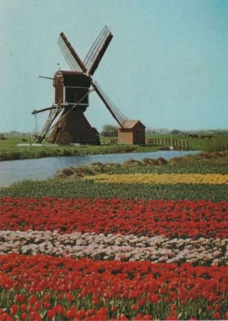 Niederlande - Holland - im Blumenschmuck - 1977 Niederlande - Holland - im Blumenschmuck - 1977