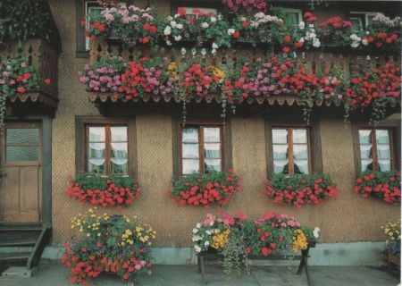 Schwarzwald - Schwarzwaldhaus, Fassade - ca. 1985 Schwarzwald - Schwarzwaldhaus, Fassade - ca. 1985