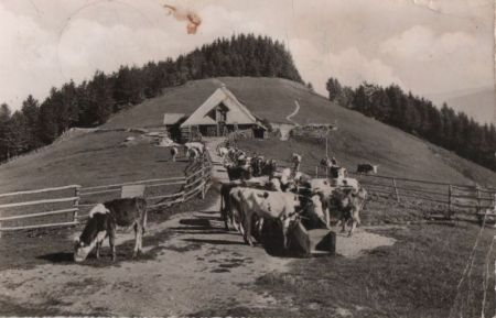 Münstertal-Untermünstertal - Bergwirtschaft Kälbelescheuer - 1963 Münstertal-Untermünstertal - Bergwirtschaft Kälbelescheuer - 1963