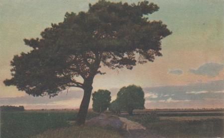 Bäume in der Ebene - ca. 1925 Bäume in der Ebene - ca. 1925