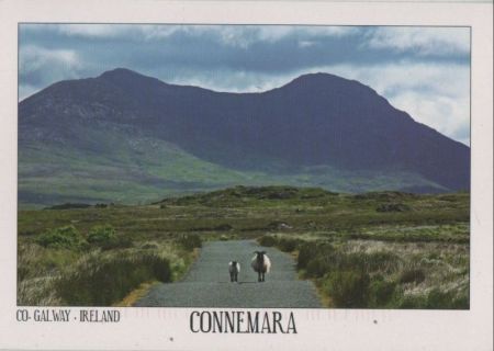 Irland - Connemara - 2011 Irland - Connemara - 2011