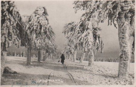 Spaziergängerin im Schnee - ca. 1935 Spaziergängerin im Schnee - ca. 1935