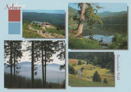 Bayerischer Wald - ca. 1995 Bayerischer Wald - ca. 1995