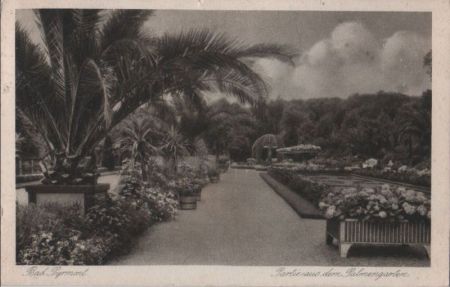 Bad Pyrmont - Partie aus dem Palmengarten - 1927 Bad Pyrmont - Partie aus dem Palmengarten - 1927