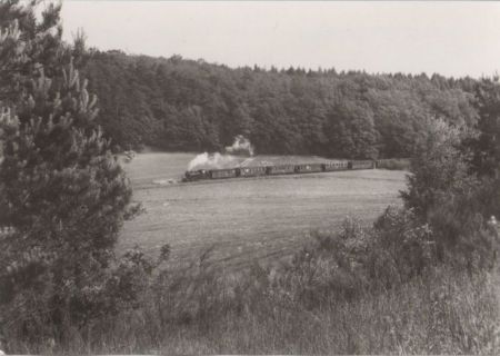 Schmalspurbahn Putbus-Göhren - bei Seelvitz - 1985 Schmalspurbahn Putbus-Göhren - bei Seelvitz - 1985