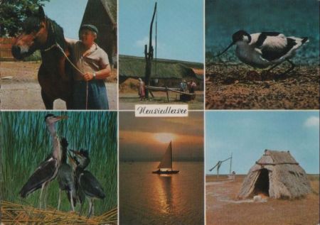 Österreich - Neusiedler See - mit 6 Bildern - 1966 Österreich - Neusiedler See - mit 6 Bildern - 1966