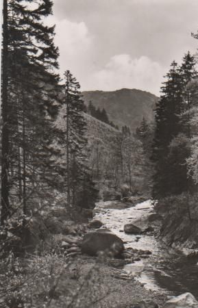 Altenau - Okertal im Harz - ca. 1955 Altenau - Okertal im Harz - ca. 1955