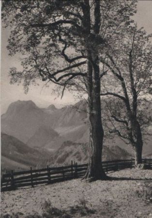 Berglandschaft - ca. 1960 Berglandschaft - ca. 1960