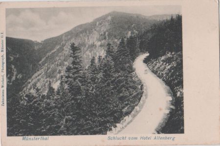 Münsterthal - Schlucht vom Hotel Altenberg - ca. 1915 Münsterthal - Schlucht vom Hotel Altenberg - ca. 1915