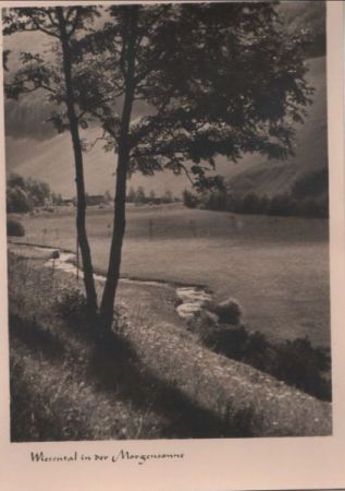 Wiesental in Morgensonne - ca. 1950 Wiesental in Morgensonne - ca. 1950