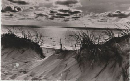 Dünen am Meer - 1960 Dünen am Meer - 1960