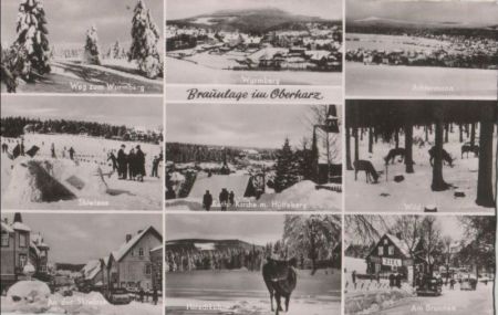 Braunlage - u.a. Wild - ca. 1960 Braunlage - u.a. Wild - ca. 1960