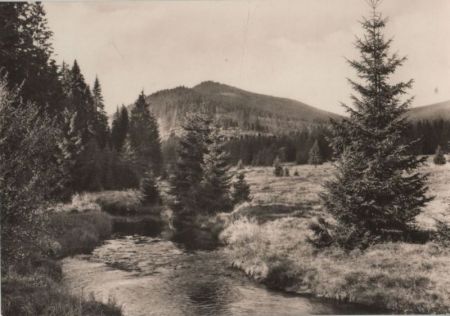 Schierke - Die Bode Schierke - Die Bode