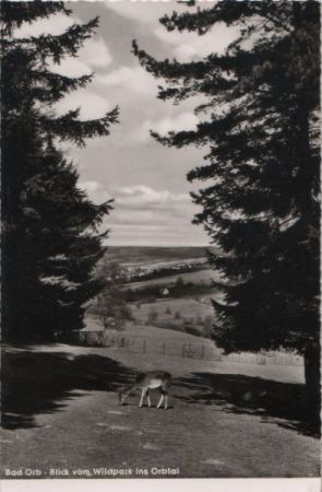 Bad Orb - Blick vom Wildpark ins Orbtal - 1960 Bad Orb - Blick vom Wildpark ins Orbtal - 1960
