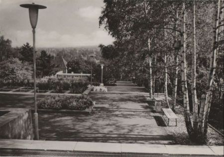 Erfurt - Internationale Gartenbauausstellung, Irisgarten - ca. 1965 Erfurt - Internationale Gartenbauausstellung, Irisgarten - ca. 1965