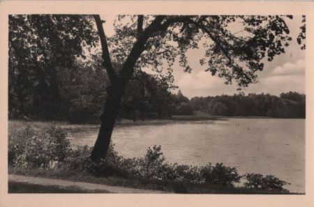Rheinsberg - Im Park - 1960 Rheinsberg - Im Park - 1960