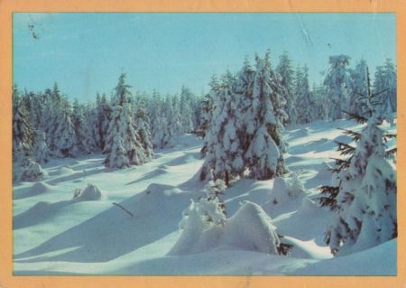 Viel Glück im neuen Jahr - 1984 Viel Glück im neuen Jahr - 1984