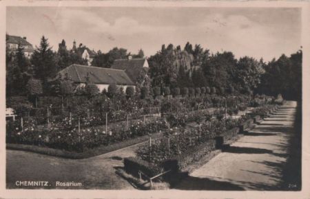 Chemnitz - Rosarium - 1938 Chemnitz - Rosarium - 1938