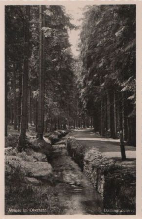 Altenau - Dammgrabenweg - ca. 1955 Altenau - Dammgrabenweg - ca. 1955