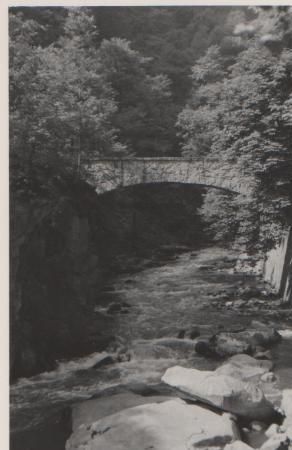 Im Bodetal bei Thale - ca. 1965 Im Bodetal bei Thale - ca. 1965