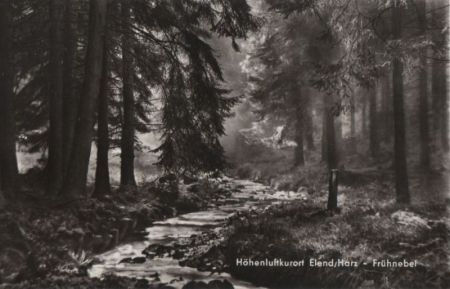 Elend - Frühnebel - 1968 Elend - Frühnebel - 1968