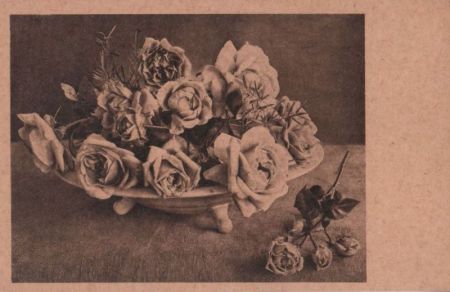 Rosen in Schüssel Rosen in Schüssel