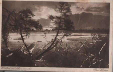 Bad Wildbad - Der Wildsee - 1930 Bad Wildbad - Der Wildsee - 1930