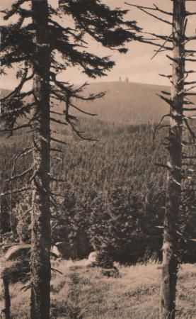Schierke - Harz - Blick zum Brocken - 1961 Schierke - Harz - Blick zum Brocken - 1961