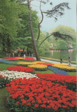 Niederlande - Lisse - Keukenhof - ca. 1985 Niederlande - Lisse - Keukenhof - ca. 1985