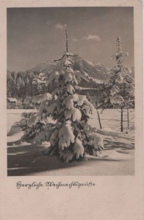 Herzliche Weihnachtsgrüße - Winterlandschaft Herzliche Weihnachtsgrüße - Winterlandschaft