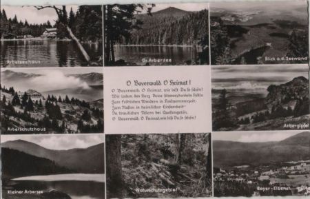 Bayerischer Wald - u.a. Naturschutzgebiet - ca. 1960 Bayerischer Wald - u.a. Naturschutzgebiet - ca. 1960