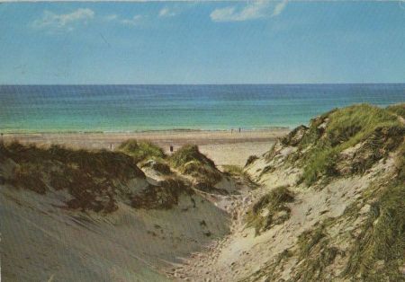 Dünen am Meer - 1974 Dünen am Meer - 1974
