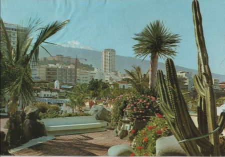 Spanien - Puerto de la Cruz - Plantas tipicas - 1980 Spanien - Puerto de la Cruz - Plantas tipicas - 1980