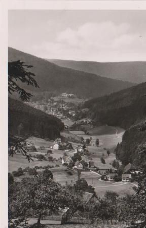 Bad Herrenalb - Herrenalb - Blick ins Gaistal - ca. 1965 Bad Herrenalb - Herrenalb - Blick ins Gaistal - ca. 1965