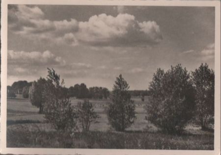 Landschaft - ca. 1955 Landschaft - ca. 1955