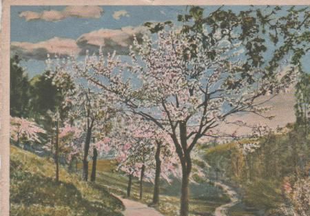 Alles neu macht der Mai - ca. 1935 Alles neu macht der Mai - ca. 1935