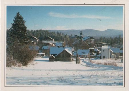 Tschechien - Sumava - Böhmerwald - Srni - Rehberg - 1998 Tschechien - Sumava - Böhmerwald - Srni - Rehberg - 1998