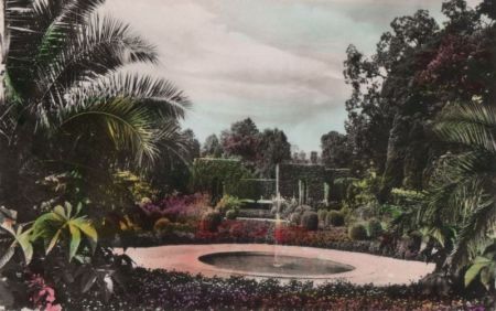 Bad Pyrmont - Palmengarten - 1960 Bad Pyrmont - Palmengarten - 1960