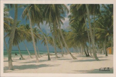 Dominikanische Republik - Saona - Cocoteros - ca. 1980 Dominikanische Republik - Saona - Cocoteros - ca. 1980