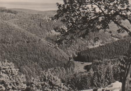 Frauenwald Rstg. - Blick in Tränkbachtal - 1974 Frauenwald Rstg. - Blick in Tränkbachtal - 1974