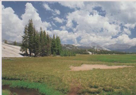 USA, Kalifornien - Yosemite National Park - 1999 USA, Kalifornien - Yosemite National Park - 1999