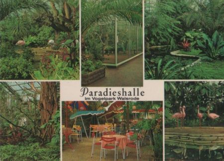 Walsrode - Paradieshalle im Vogelpark - 1971 Walsrode - Paradieshalle im Vogelpark - 1971