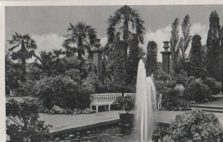 Bad Pyrmont - Palmengarten - 1956 Bad Pyrmont - Palmengarten - 1956