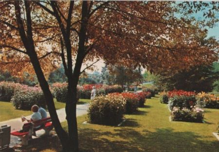 Bad Krozingen - Im Kurpark - ca. 1980 Bad Krozingen - Im Kurpark - ca. 1980