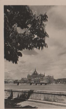 Ungarn - Budapest - Orszaghaz - ca. 1955 Ungarn - Budapest - Orszaghaz - ca. 1955
